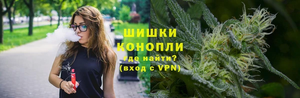 соль ск Абаза