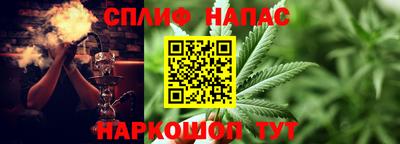 герыч Моздок