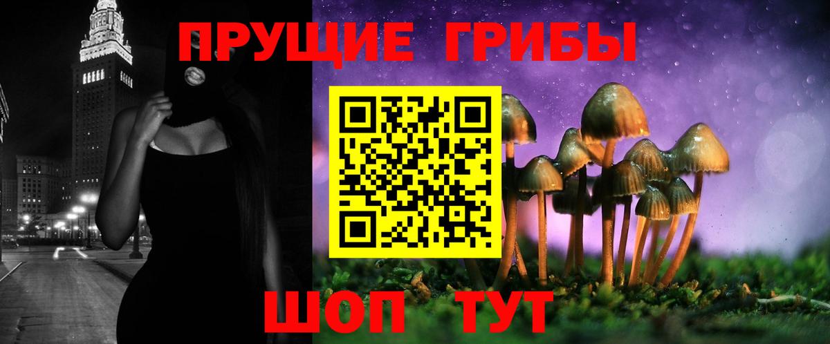 Орск  Галлюциногенные грибы MAGIC MUSHROOMS  Псилоцибиновые грибы Magic Shrooms  Вход с VPN 